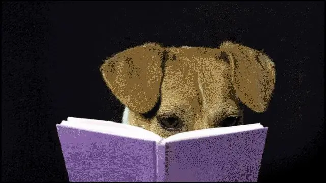 Изображение Изображение