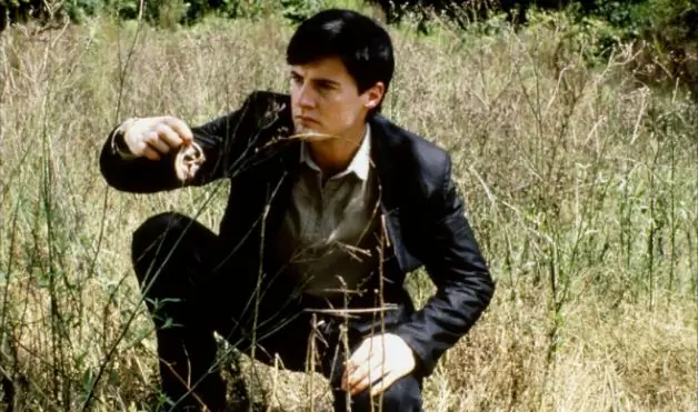 Синий бархат Синий бархат