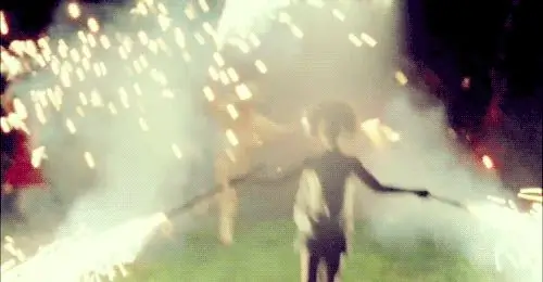 «Звери южной дикой природы» (2012) «Звери южной дикой природы» (2012)