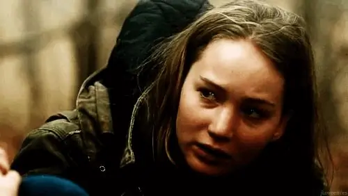 'Зимняя кость' (2010) 'Зимняя кость' (2010)
