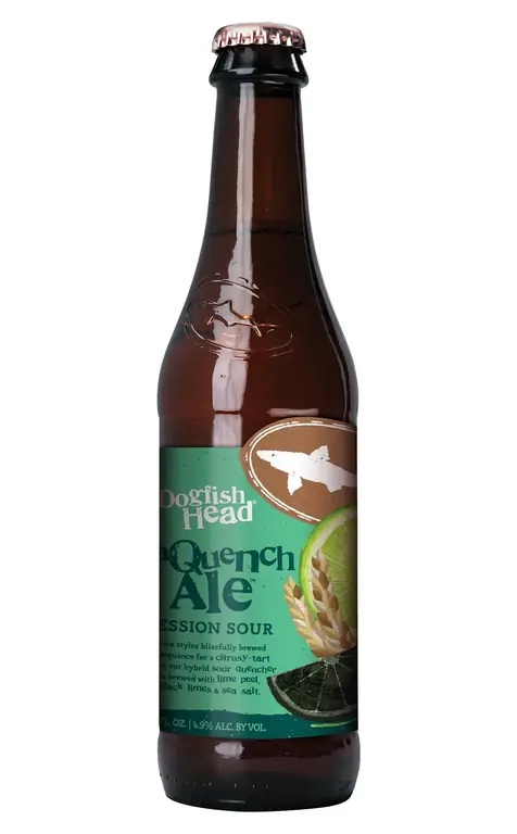 Dogfish Head SeaQuench и мидии на пару Dogfish Head SeaQuench и мидии на пару