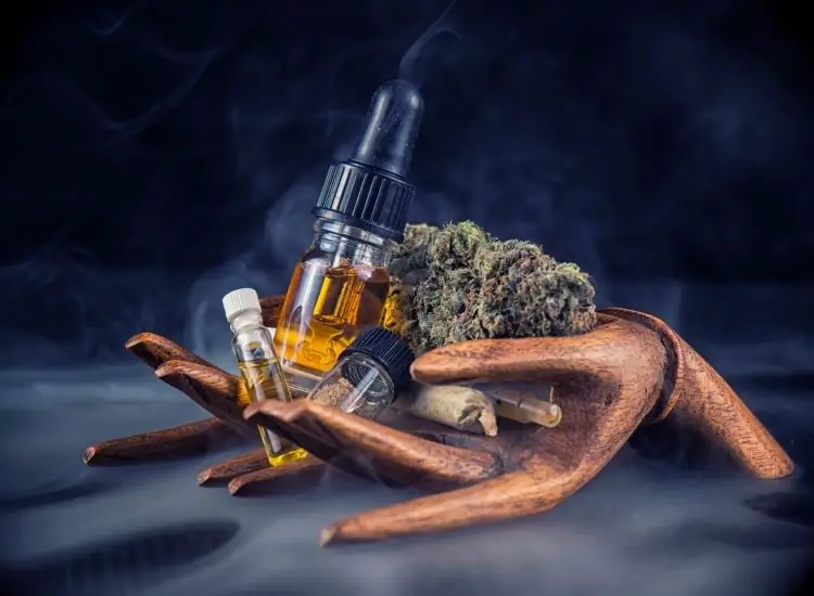 CBD Все: от кофе и кошачьих лакомств до кремов для дрочки
