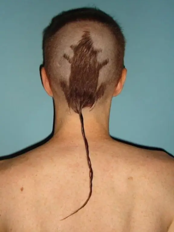 ImageThe Rat Tail ImageThe Rat Tail