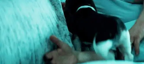 7:30 утра 7:30 утра