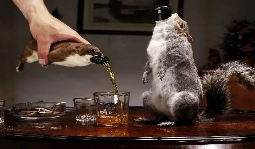 BrewDog Конец Истории BrewDog Конец Истории
