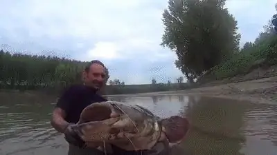 Но не невозможно сделать Но не невозможно сделать