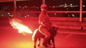 Единорог дьявола Единорог дьявола