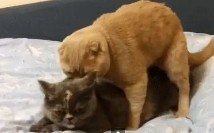 Ты удивляешь ее Ты удивляешь ее