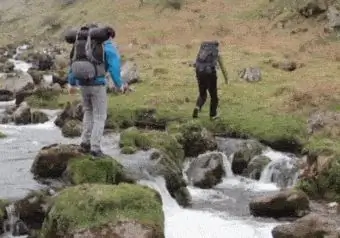 Шипастый верблюд Шипастый верблюд