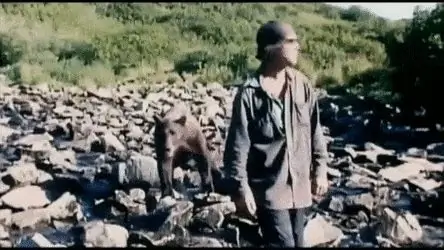 8. «Человек гризли» (2005) 8. «Человек гризли» (2005)