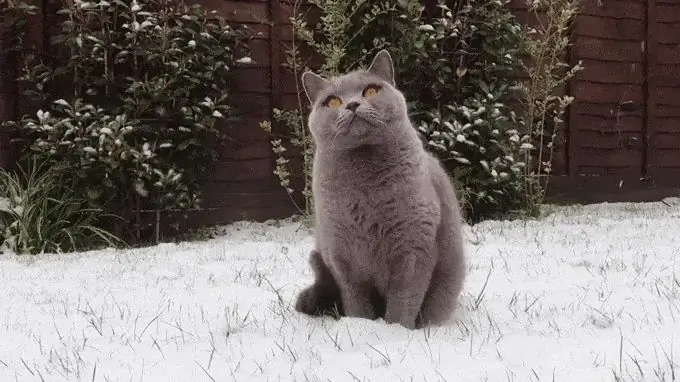 Взгляд Взгляд