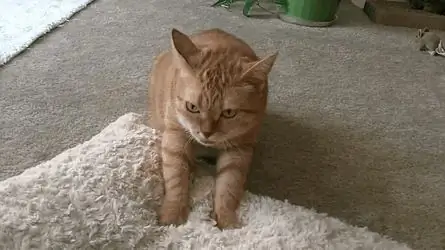 Замешивание Замешивание