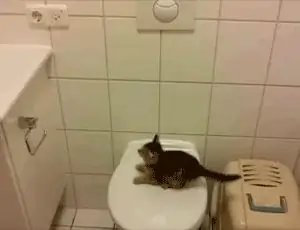 Прыжок Прыжок
