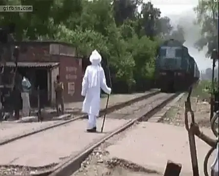 Цыпленок на железнодорожном пути Цыпленок на железнодорожном пути