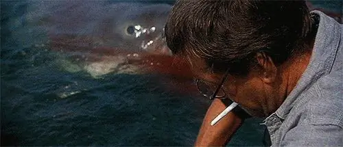 ImageJaws (1975) ImageJaws (1975)