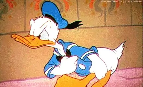 19. Дональд Дак 19. Дональд Дак