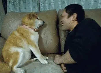 Разговор с домашним животным