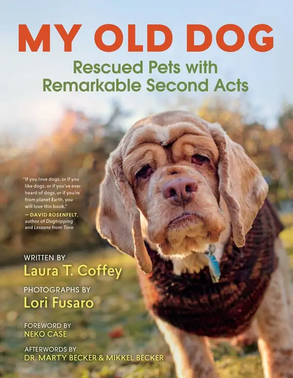 Обложка книги ImageMy Old Dog