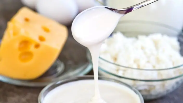 Молочные продукты Молочные продукты