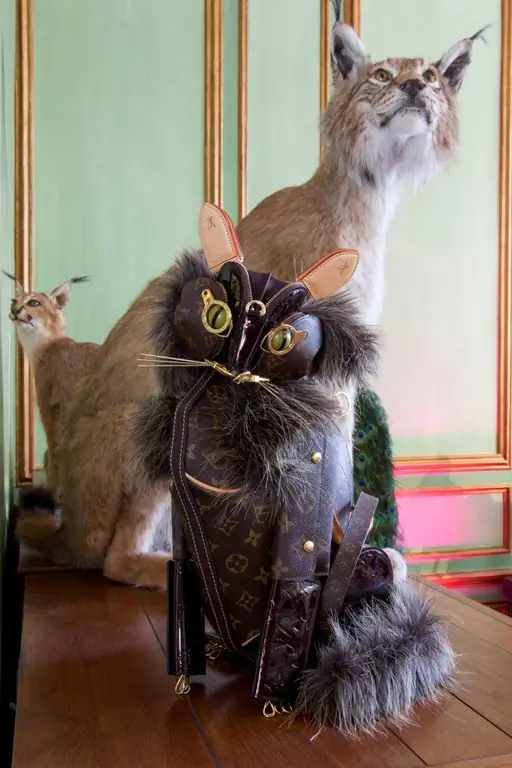 Сюда, котик! Сюда, котик!