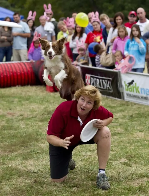 Крис Маклеод выступает с командой Purina Incredible Dog Team на гонке воздушных шаров в Грейт-Форест-парке Крис Маклеод выступает с командой Purina Incredible Dog Team на гонке воздушных шаров в Грейт-Форест-парке