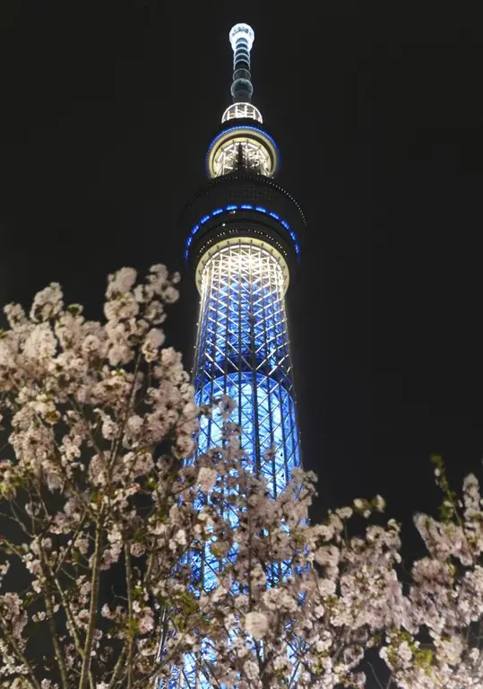 ТОКИО, Япония. Tokyo Sky Tree в токийском районе Сумида подсвечивается синим светом, 19 апреля 2012 г. Оператор самой высокой в мире отдельно стоящей вышки…