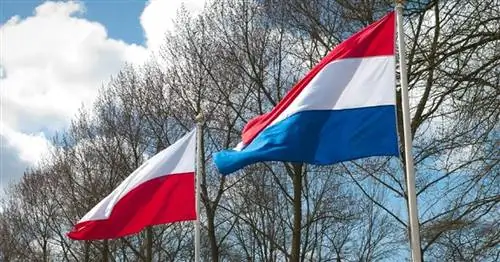 Многие польские работники до сих пор эксплуатируются в Нидерландах