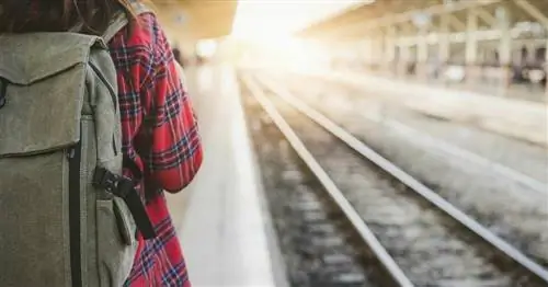 Вы переехали в Нидерланды без работы Что теперь?