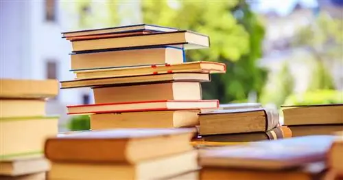 Книжный рынок Девентера - крупнейший книжный рынок в Европе