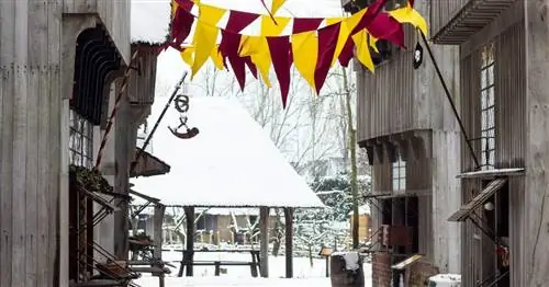 Отпразднуйте зиму в Archeon