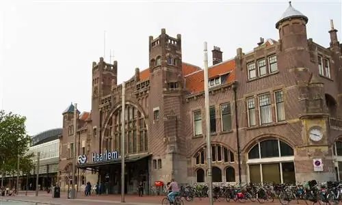 Image Image