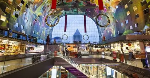 Роттердам запустит приложение для отслеживания загруженности центра города
