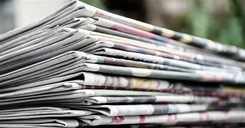 На переднем крае голландских умов: Синтерклаас, Любах и другие