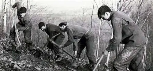 Винтажные мужчины копают на склоне холма.