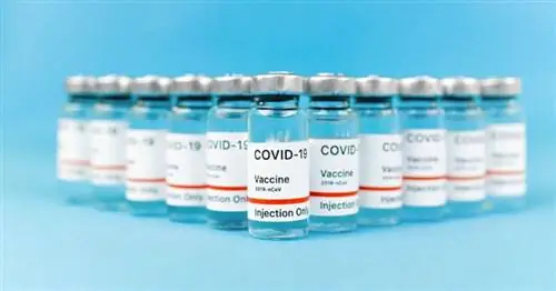 Правительство отдает приоритет внутреннему использованию вакцины от Covid-19