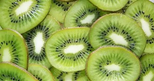 Image Image