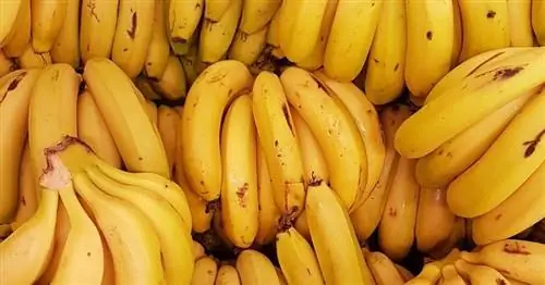 У вас на лице морщины и тонкие линии? Попробуйте эту банановую маску