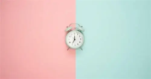 Будьте осторожны! Это 9 побочных эффектов периодического голодания