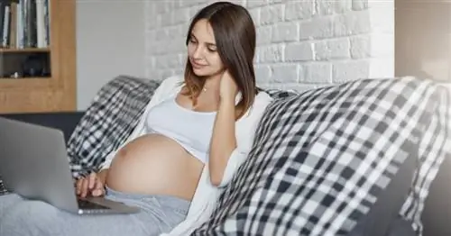 5 причин, по которым родители отдают своих детей в школу с тех пор, как они были еще в утробе матери