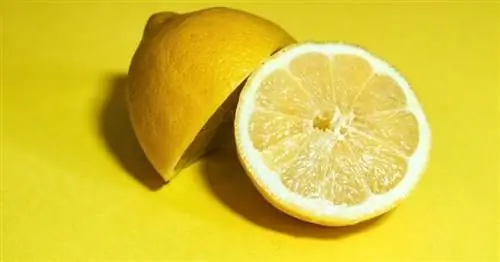 Image Image