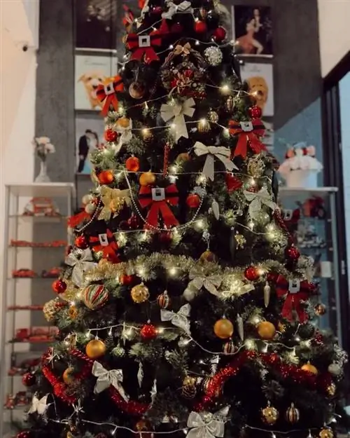 Image Image