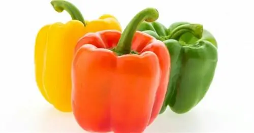 5 способов приготовления перца, которые можно попрактиковать на кухне