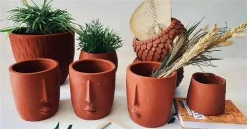 Image Image
