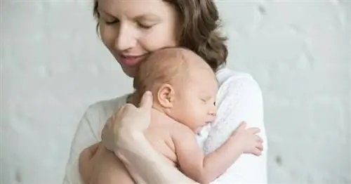 Image Image