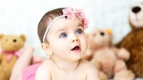 Image Image