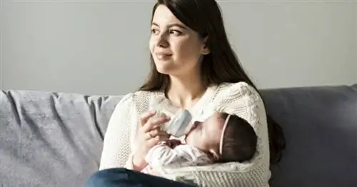 Image Image