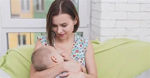 Внимание! Эти 6 болезней могут передаваться младенцам через грудное молоко