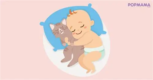 Дети, играющие с кошками: польза и на что нужно обратить внимание