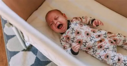 Познакомьтесь с HFMD - заболеванием, поражающим младенцев и детей ясельного возраста