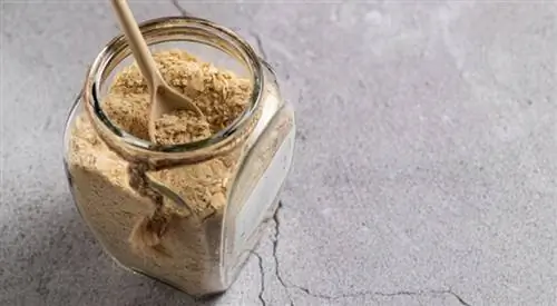 Добавление вкуса еды: можно ли детям есть пищевые дрожжи?